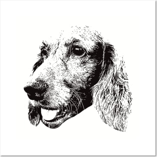 American Cocker Spaniel gift for Cocker Spaniel Owners Posters and Art